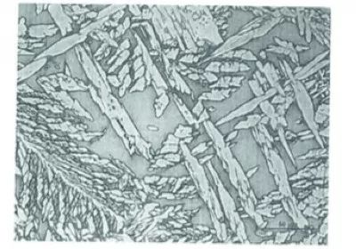 5e5099b24cc09.jpg 5.jpg